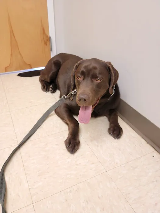 Route 516 Animal Hospital Picture 1