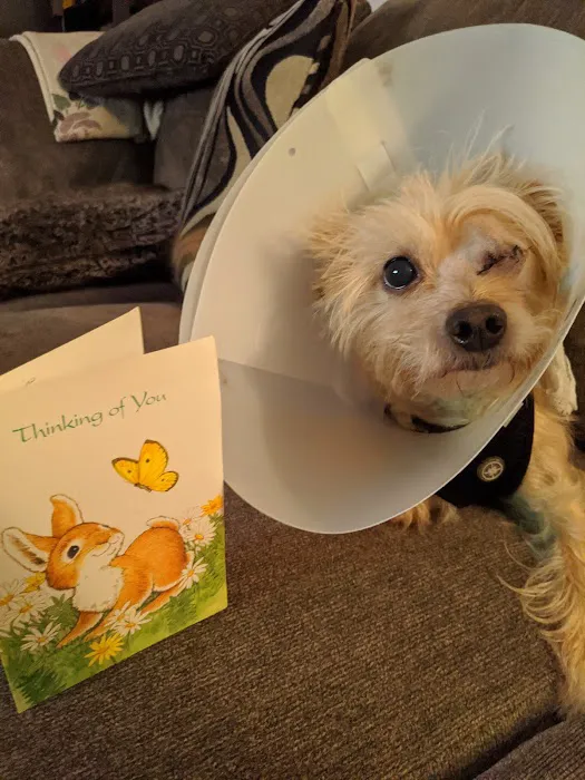 Route 516 Animal Hospital Picture 5