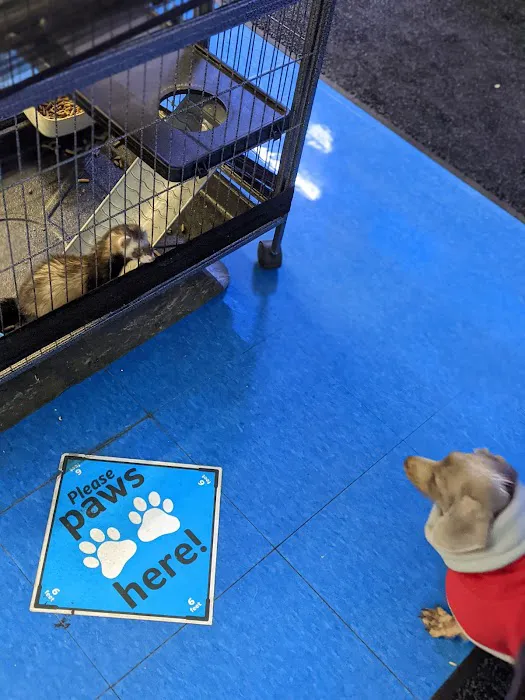 Pet Supplies Plus Woodhaven Picture 8
