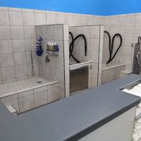 Pet Supplies Plus Woodhaven ico