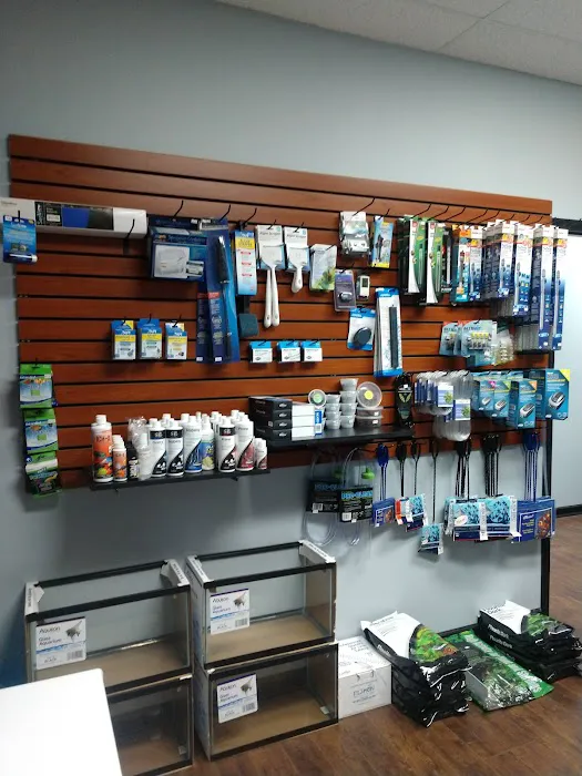 Clean Aquariums Picture 4