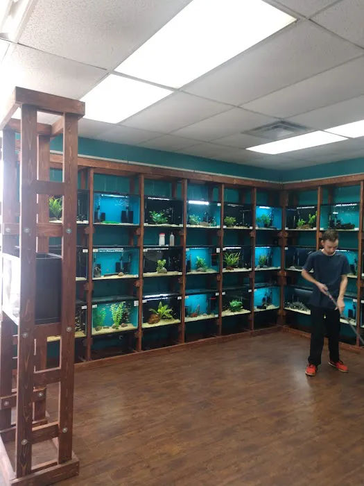 Clean Aquariums Picture 1