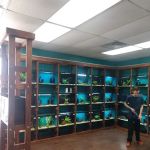 Clean Aquariums