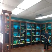 Clean Aquariums ico