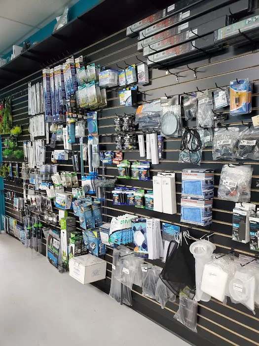Clean Aquariums Picture 8