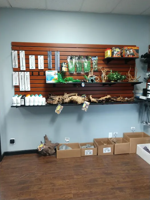 Clean Aquariums Picture 2