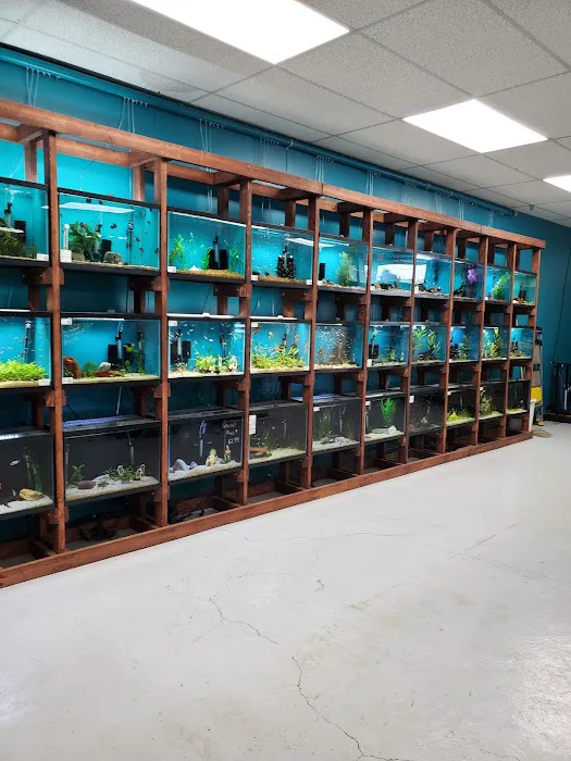 Clean Aquariums Picture 6