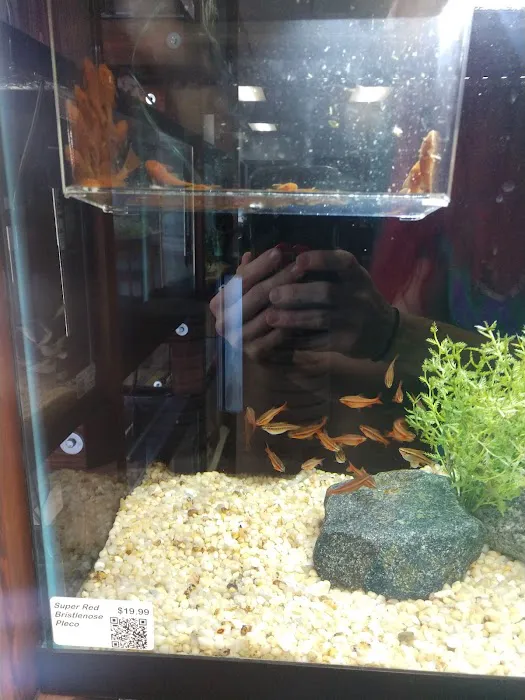 Clean Aquariums Picture 7