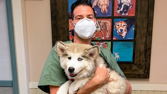 Dr. Justin Cutillo, DVM Picture 8