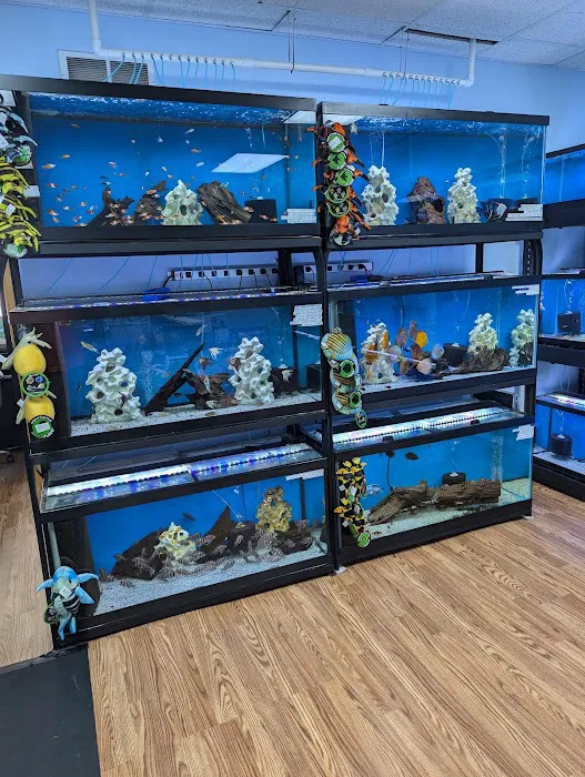 Fish gal Aquatics Picture 4