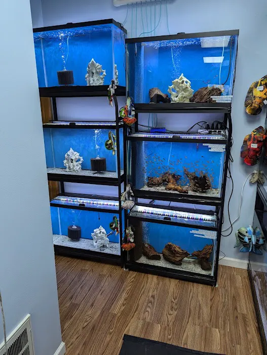 Fish gal Aquatics Picture 3