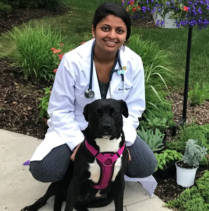 Dr. Shruti Iyer, DVM Picture 3