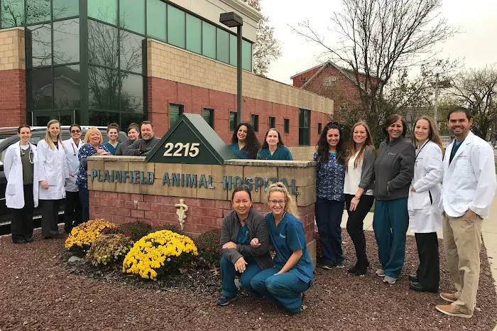 Plainfield Animal Hospital Picture 9
