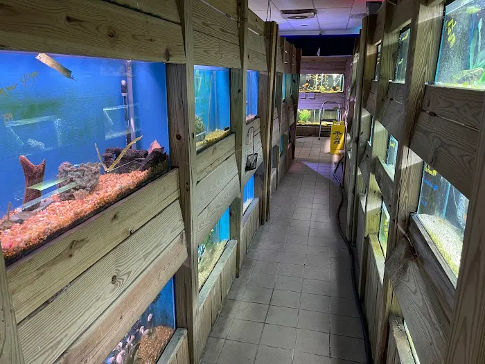 The Fish Guys Picture 3
