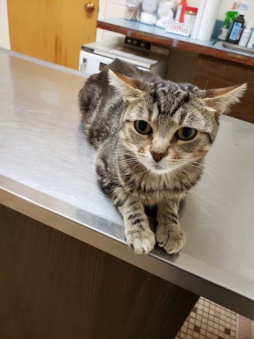 Piscataway Animal Clinic Picture 1