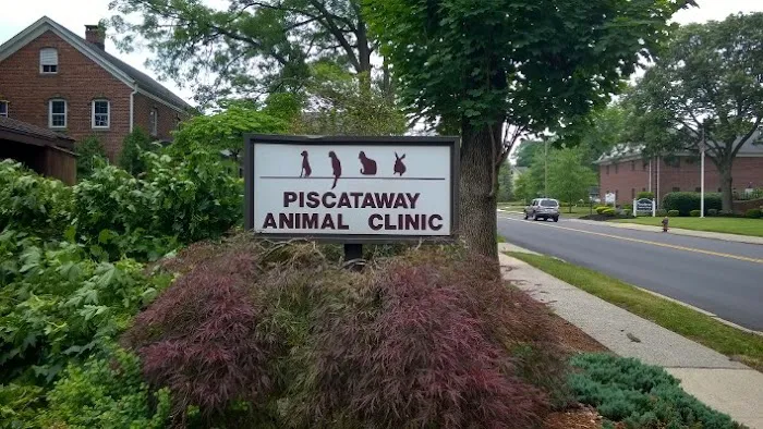 Piscataway Animal Clinic Picture 6