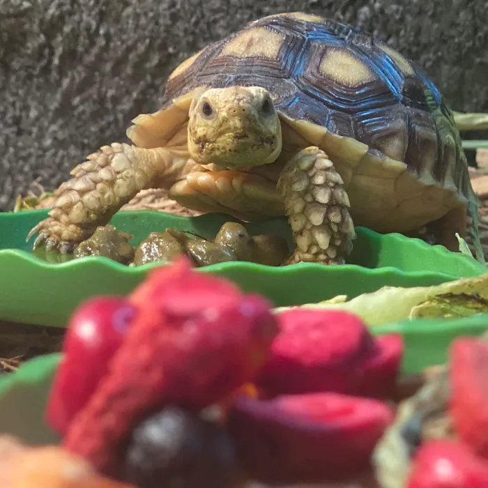 Endless Pets and Supplies Picture 10
