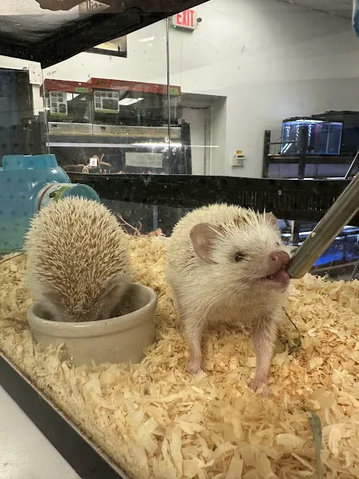 Endless Pets and Supplies Picture 8