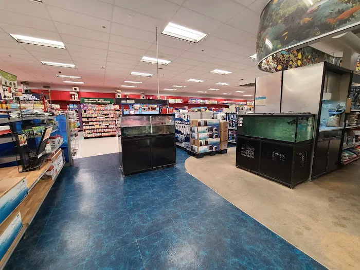 Petco Picture 2