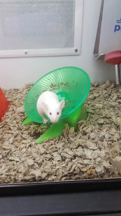Petco Picture 8