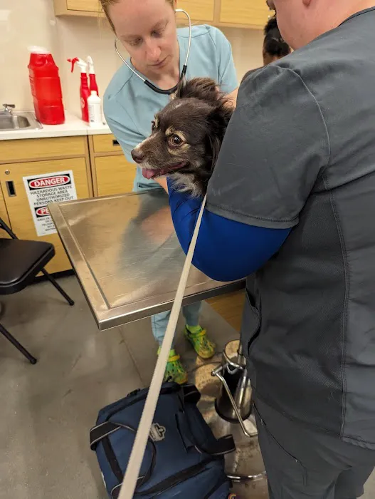 Vetco Vaccination Clinic Picture 4
