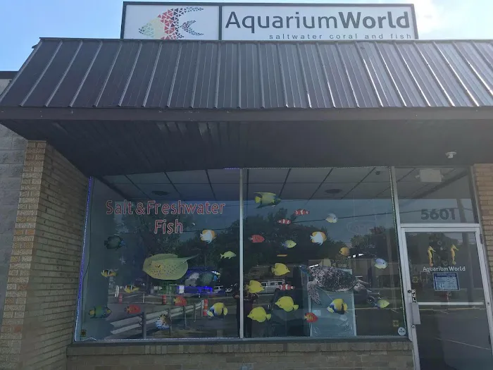 Aquarium World LLC Picture 4