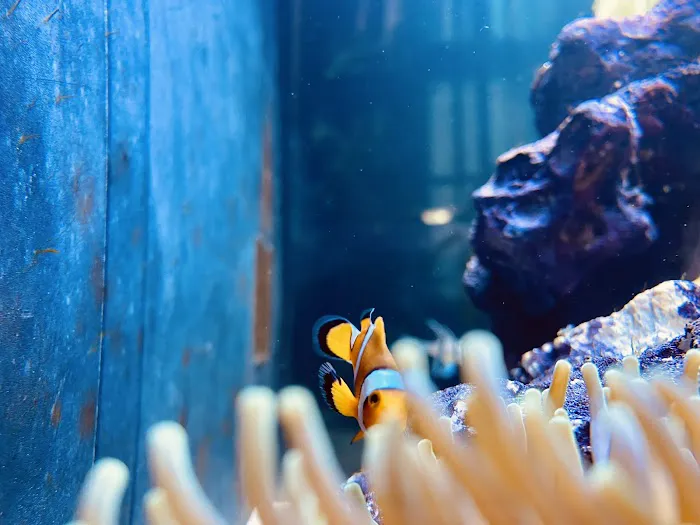 Aquarium World LLC Picture 8