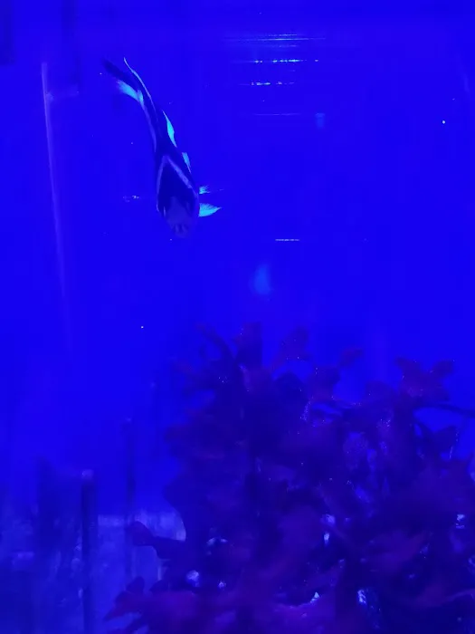 Aquarium World LLC Picture 7