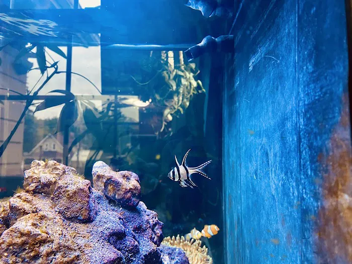 Aquarium World LLC Picture 6