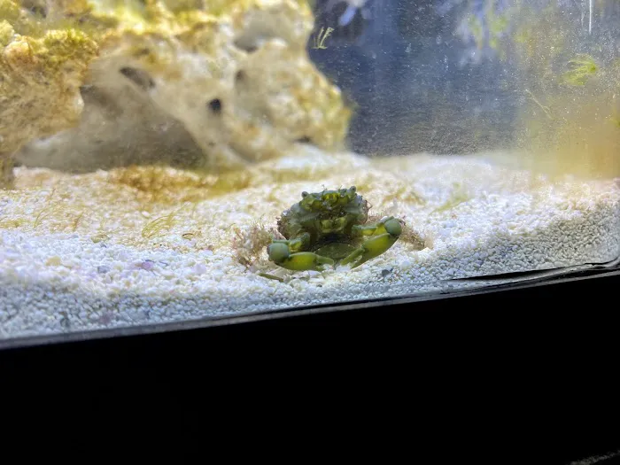 Aquarium World LLC Picture 1