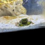 Aquarium World LLC