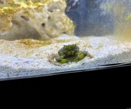 Aquarium World LLC