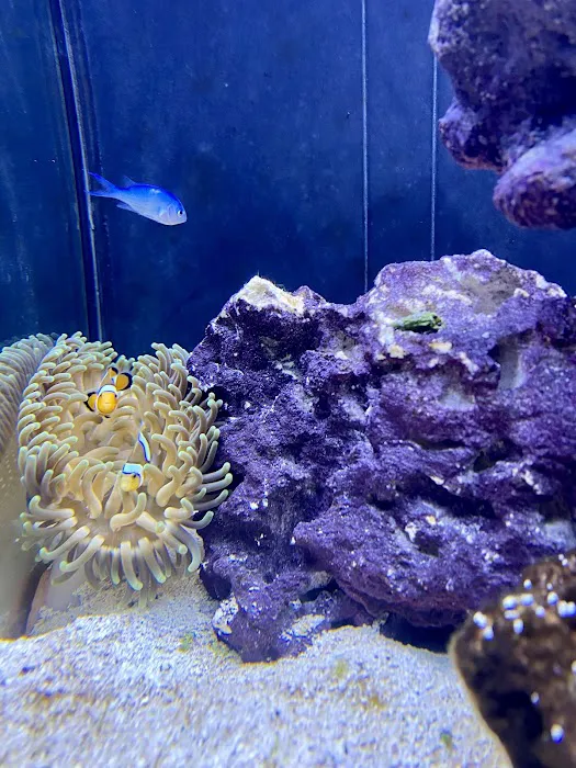 Aquarium World LLC Picture 2
