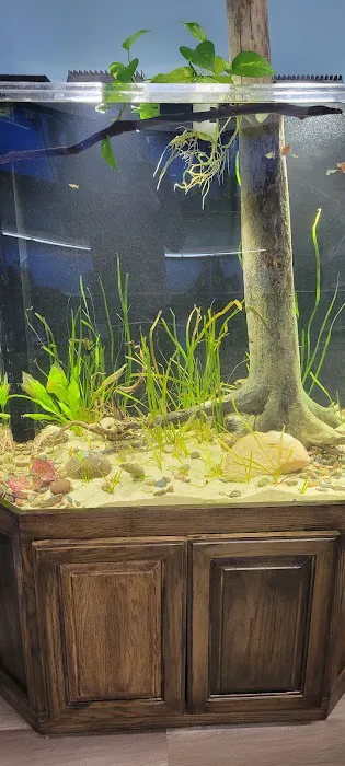Method Aquatics Picture 2