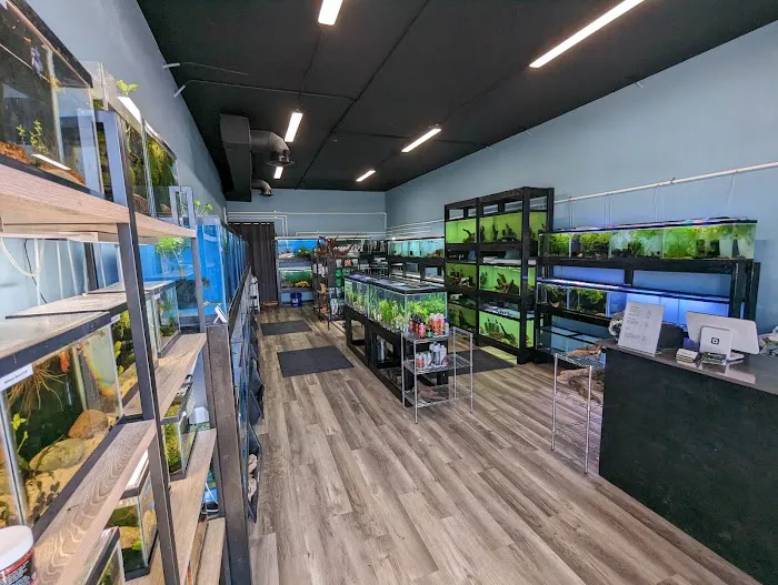 Method Aquatics Picture 9