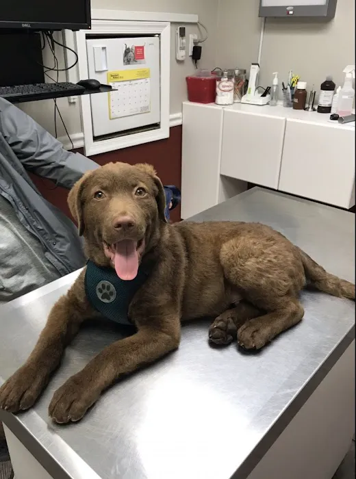 Lyons Veterinary Hospital Picture 2