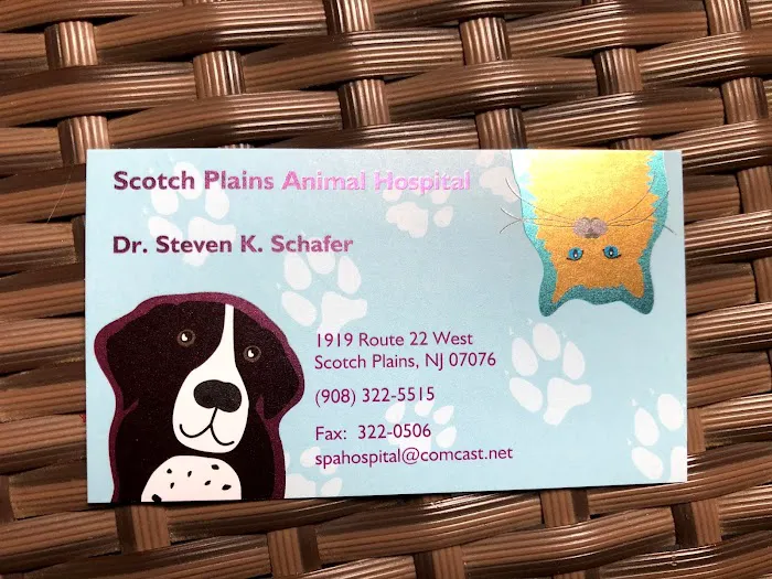 Scotch Plains Animal Hospital Picture 7