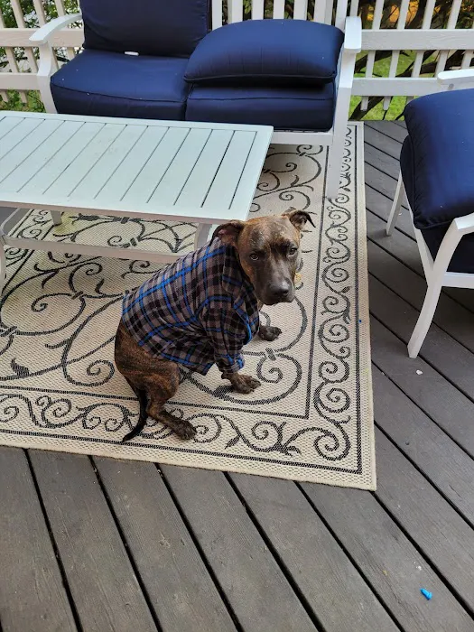 Scotch Plains Animal Hospital Picture 10