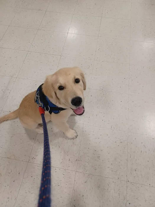 Banfield Pet Hospital Picture 9