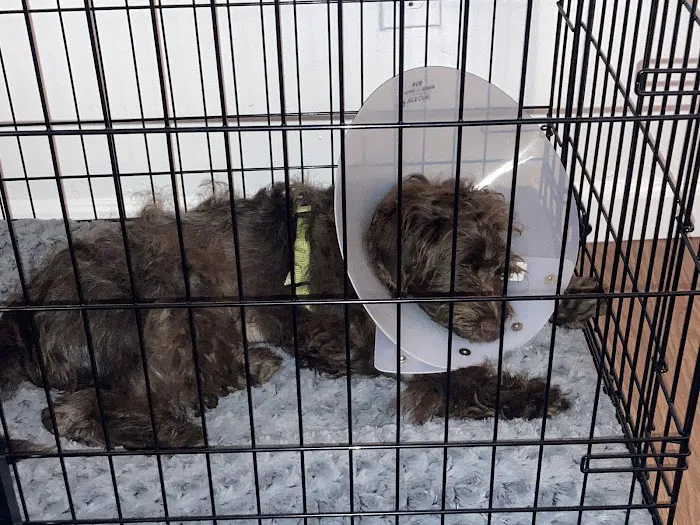Banfield Pet Hospital Picture 5