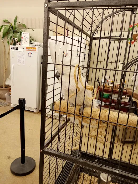 Everything for Pets Picture 4