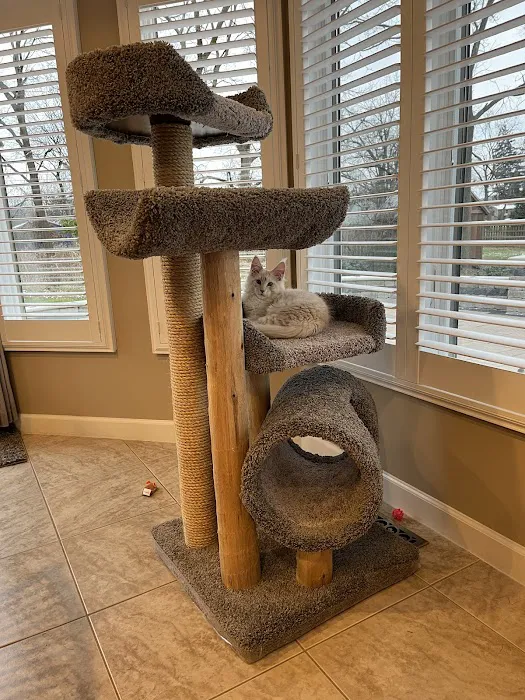 Everything for Pets Picture 2