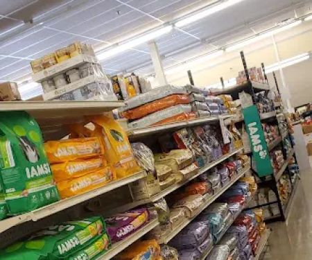 Everything for Pets