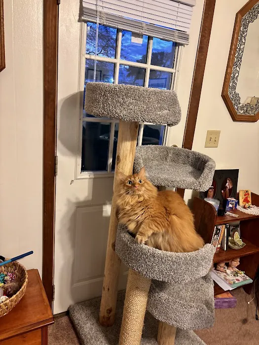Everything for Pets Picture 10