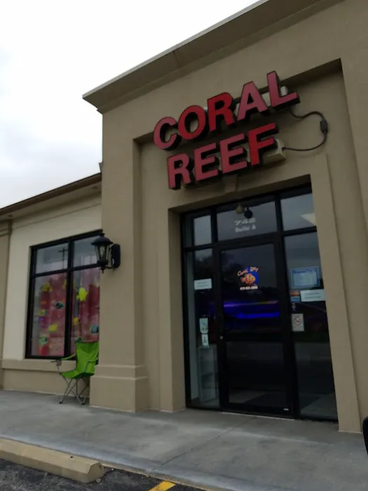 Coral Reef Picture 10