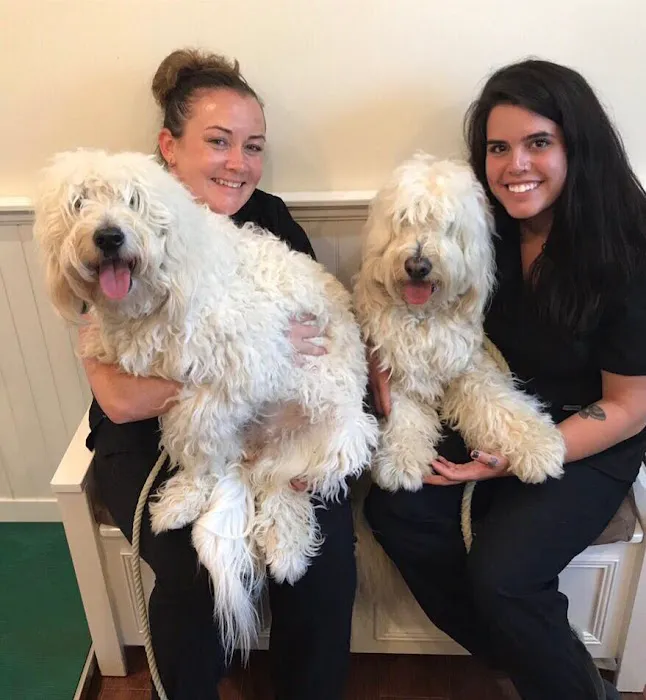 Berkeley Heights Animal Hospital Picture 4