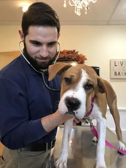 Berkeley Heights Animal Hospital Picture 7