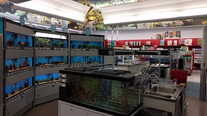 Petco Picture 1