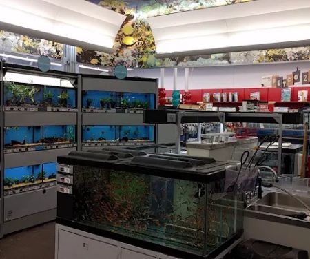 Petco