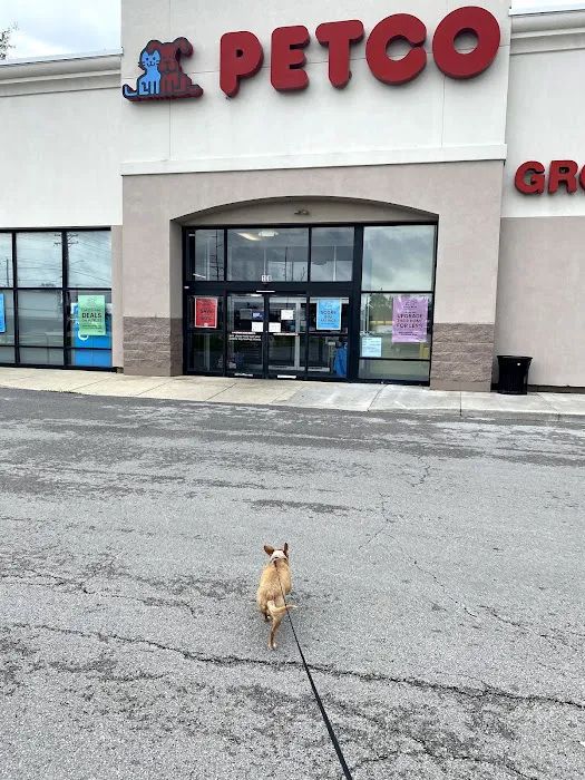 Petco Picture 5